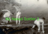 My Naked Soldier 2 - coffee table book (2023)