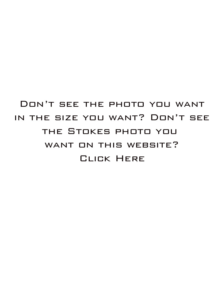 Don't see the photo you want or in the size you want?